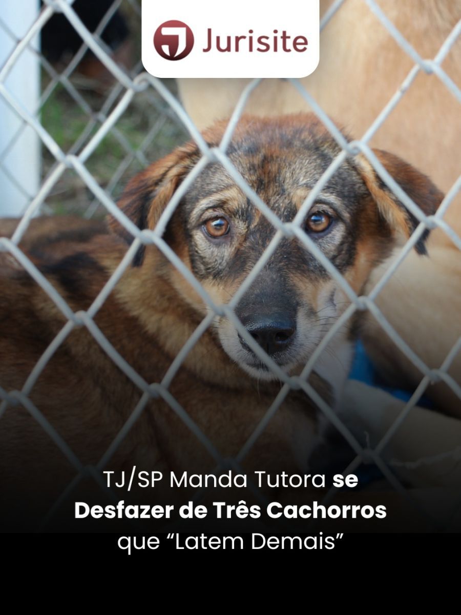 TJ/SP Manda Tutora se Desfazer de Três Cachorros que “Latem Demais”