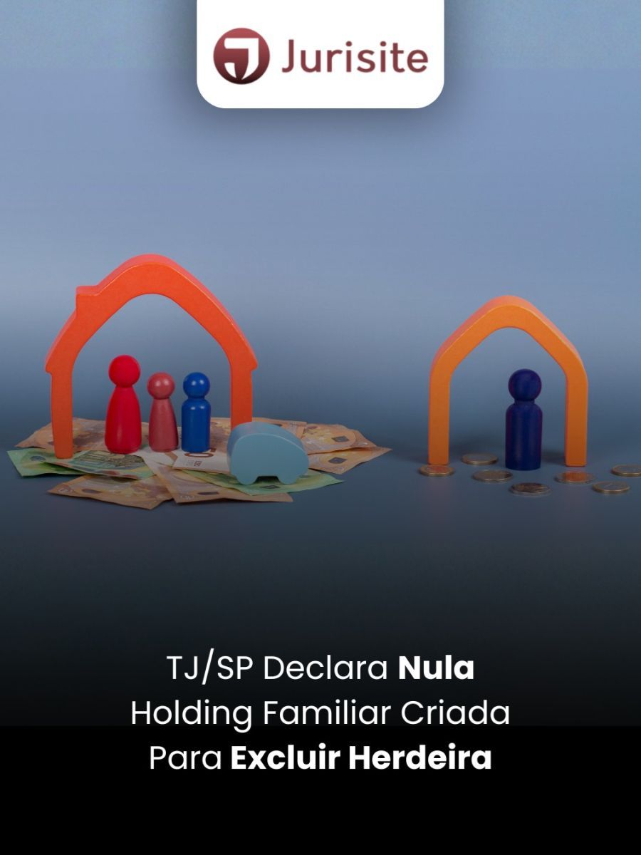 TJ/SP Declara Nula Holding Familiar Criada Para Excluir Herdeira