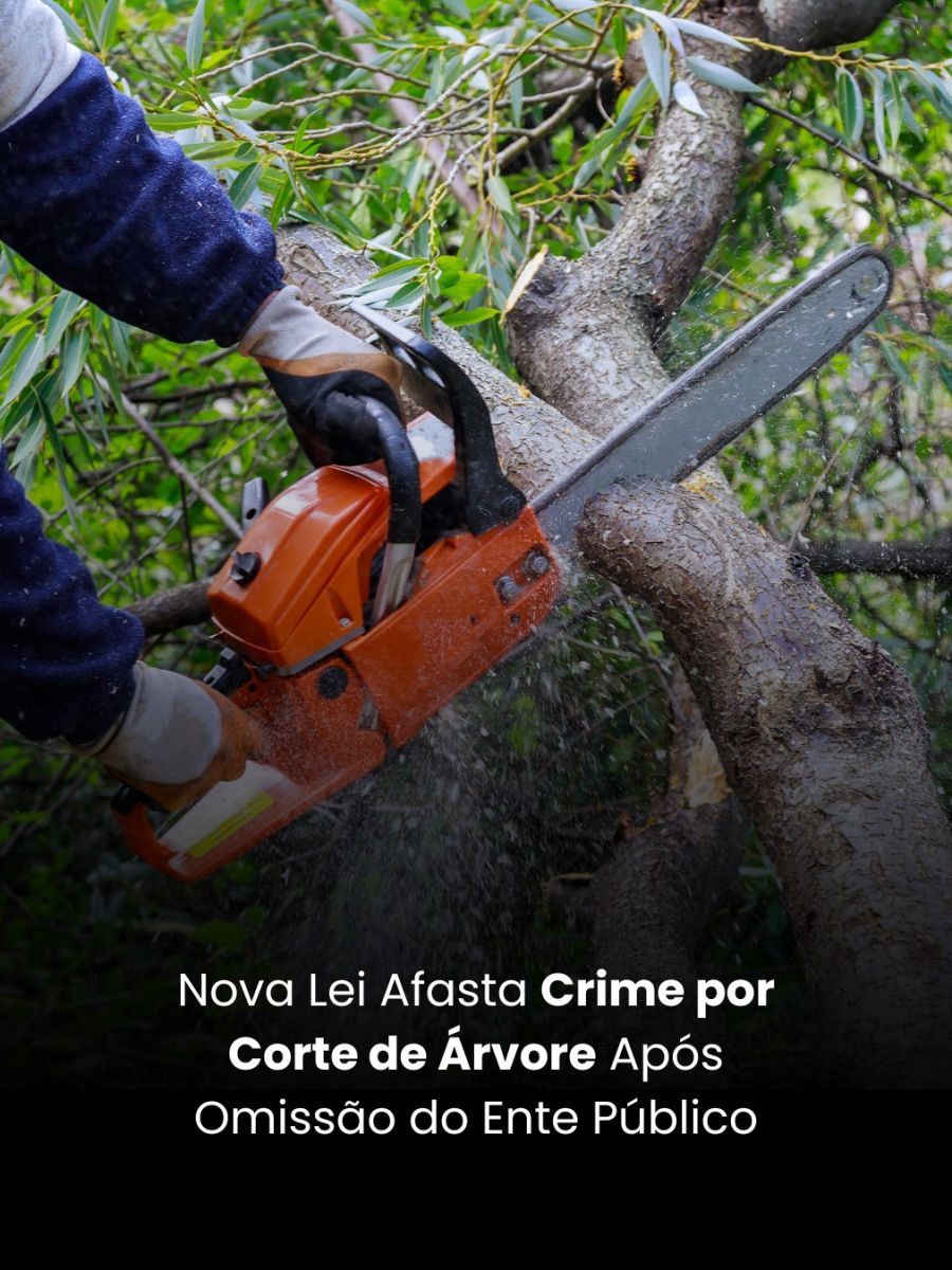 Nova Lei Afasta Crime por Corte de Árvore Após Omissão do Ente Público