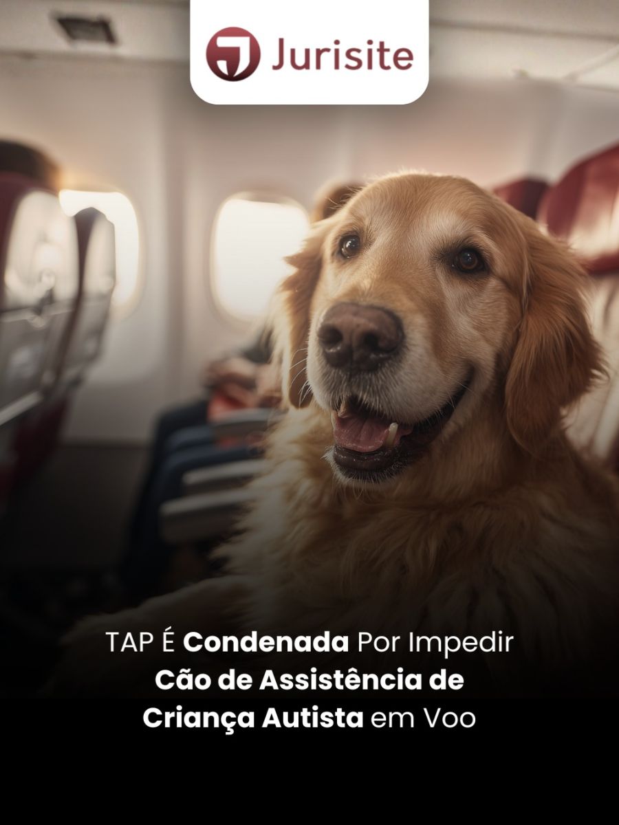 TAP É Condenada Por Impedir Cão de Assistência de Criança Autista em Voo